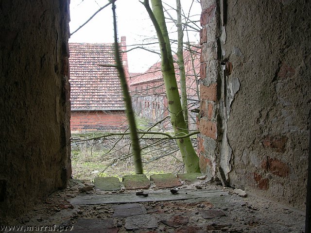 DSCN0815.jpg
