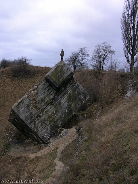 DSCN0781.jpg