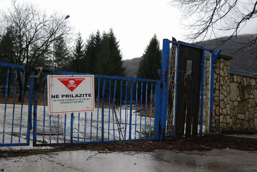 DSC_0135.JPG