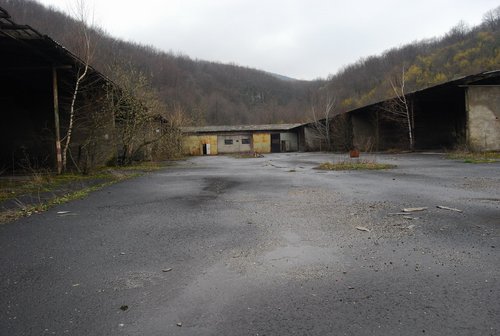 DSC_0175.JPG