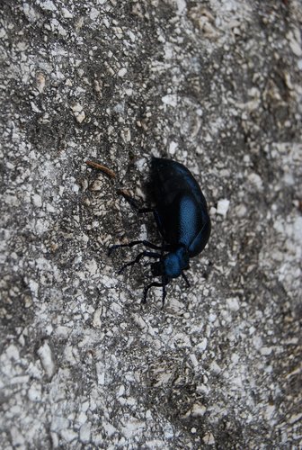 DSC_0184.JPG