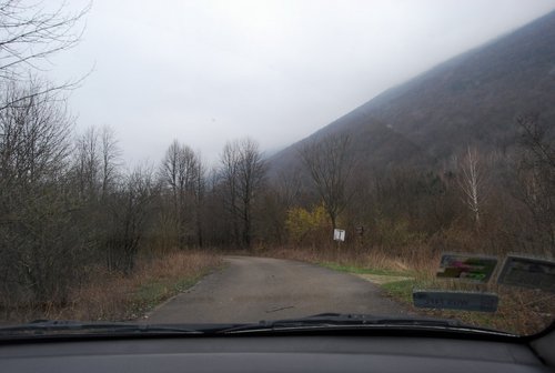 DSC_0195.JPG
