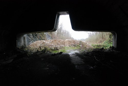 DSC_0220.JPG