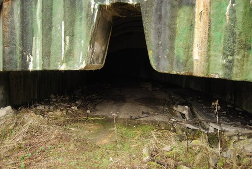 DSC_0227.JPG