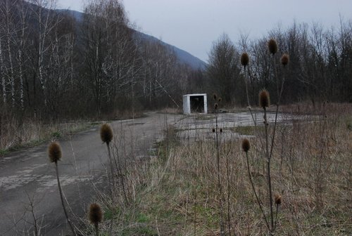 DSC_0238.JPG