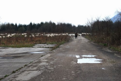 DSC_0242.JPG