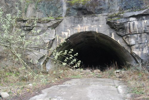 DSC_0269.JPG