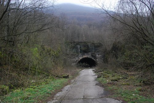 DSC_0270.JPG