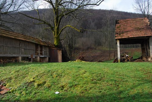 DSC_0301.JPG