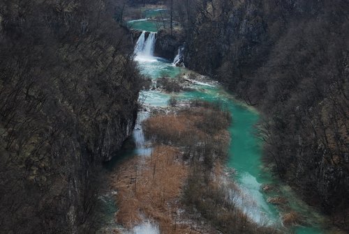 DSC_0310.JPG