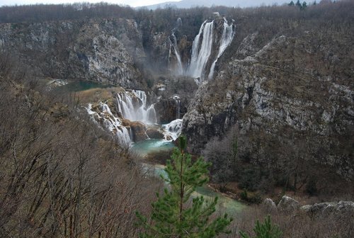 DSC_0311.JPG
