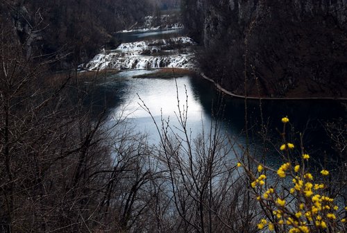 DSC_0315.JPG