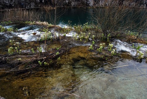 DSC_0319.JPG