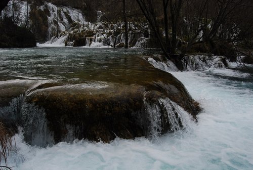 DSC_0333.JPG