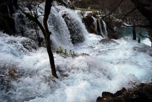 DSC_0334.JPG