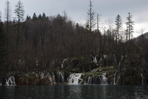 DSC_0337.JPG