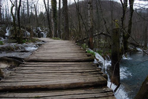 DSC_0338.JPG