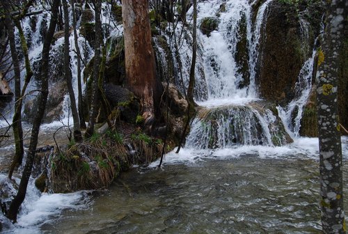 DSC_0341.JPG