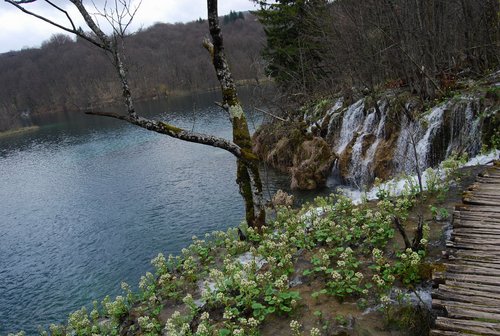 DSC_0343.JPG