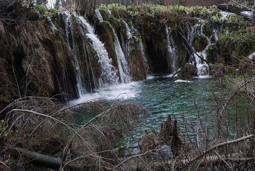 DSC_0344.JPG