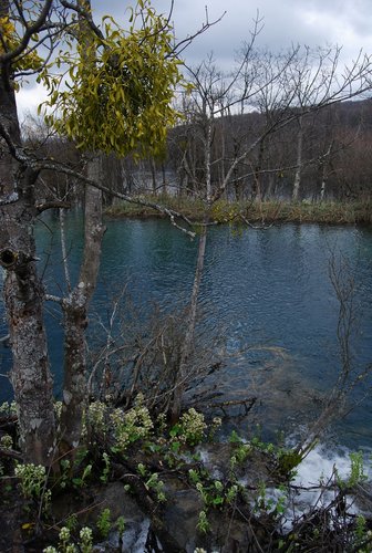 DSC_0348.JPG
