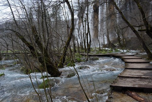 DSC_0349.JPG
