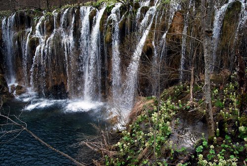 DSC_0351.JPG