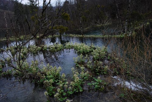 DSC_0355.JPG