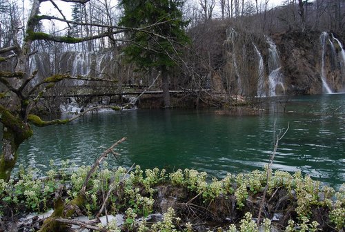 DSC_0356.JPG
