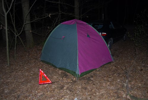 DSC_0374.JPG