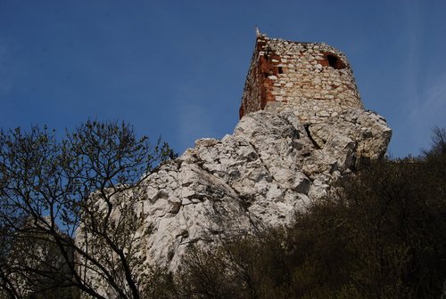 DSC_0387.JPG