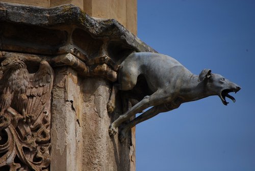 DSC_0392.JPG