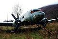 DSC_0113.JPG