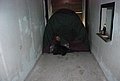 DSC_0142.JPG