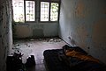 DSC_0146.JPG