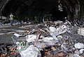 DSC_0203.JPG