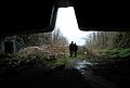 DSC_0221.JPG