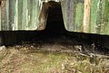DSC_0227.JPG