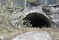 DSC_0269.JPG