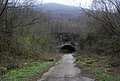 DSC_0270.JPG