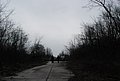 DSC_0271.JPG