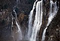 DSC_0313.JPG