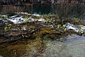DSC_0319.JPG