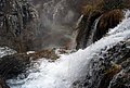 DSC_0320.JPG