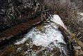 DSC_0321.JPG
