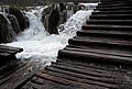 DSC_0322.JPG