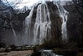 DSC_0324.JPG