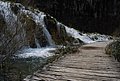 DSC_0328.JPG