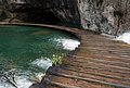 DSC_0329.JPG