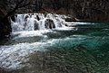 DSC_0331.JPG
